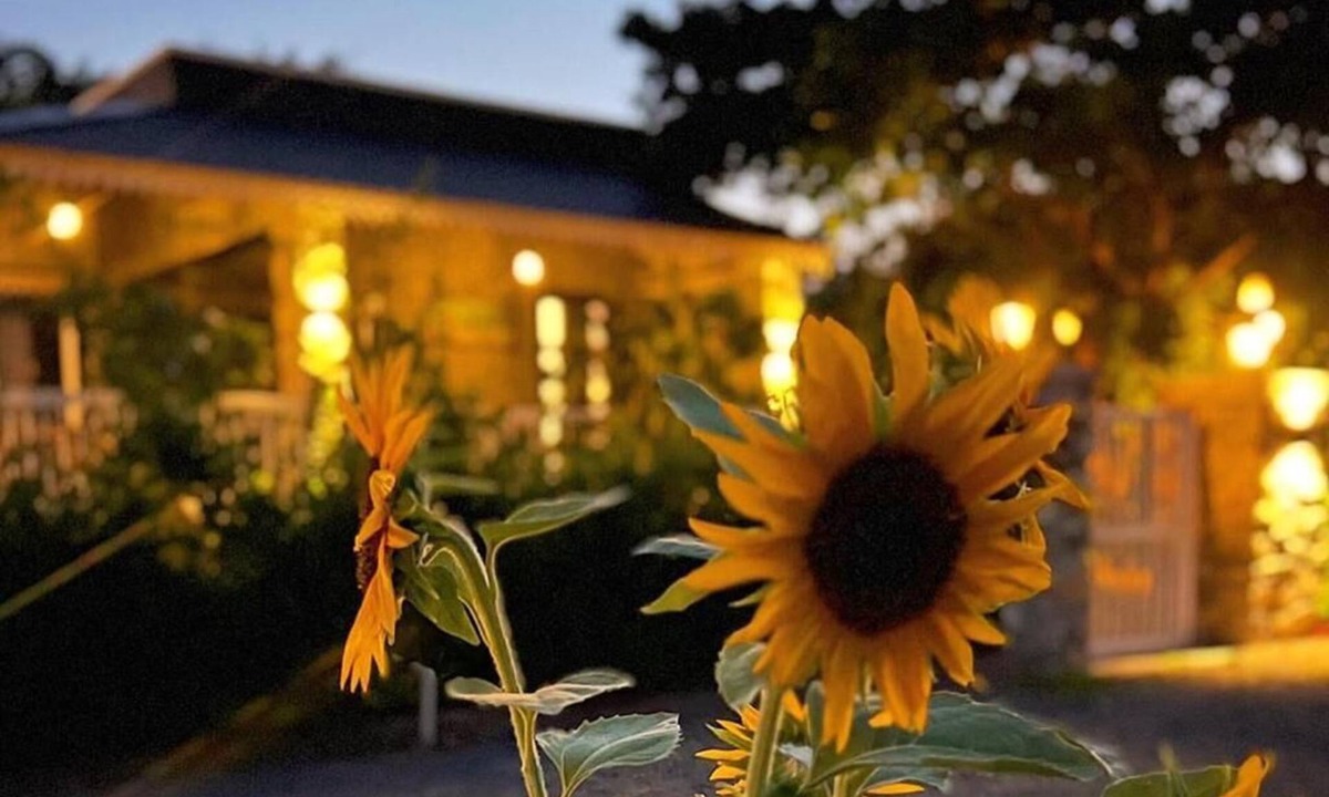 Bali Hotel | JAWAI GREENS