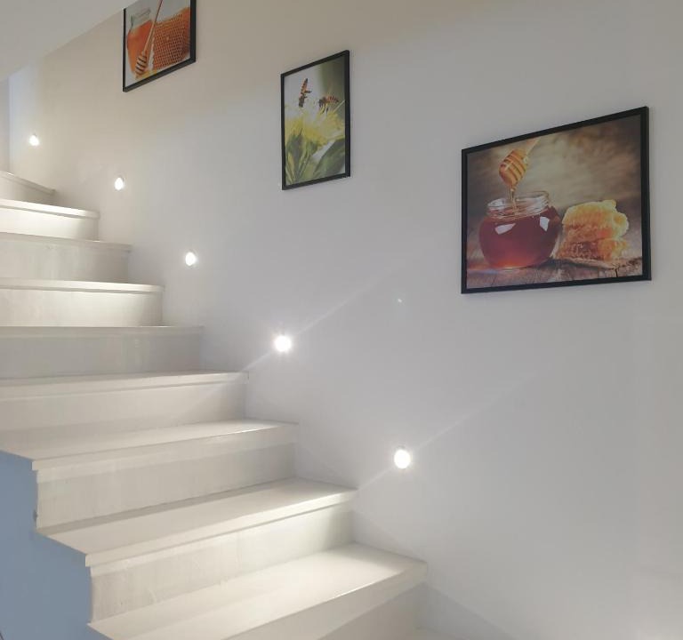 Bistrita Apartment | JP