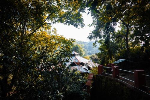 Pachmarhi House | Jungle Ghar,Pachmarhi