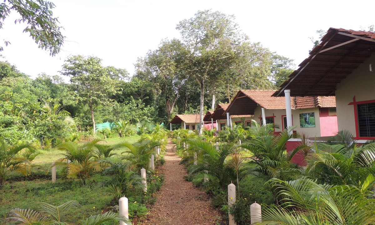 Supa Hotel | Jungle Nest Homestay