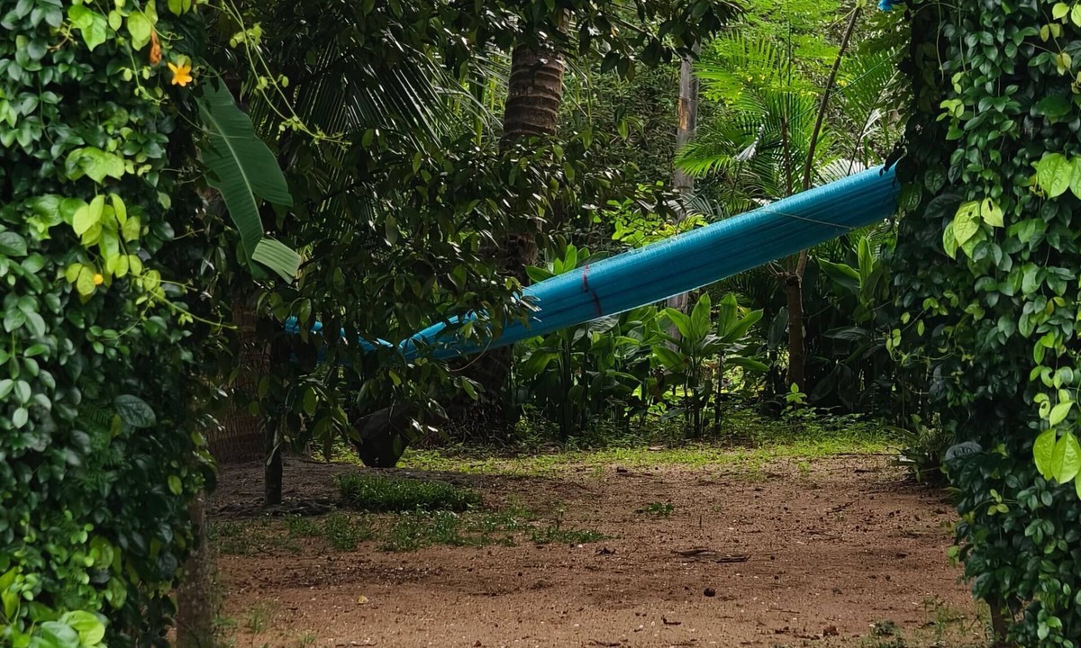 Kadalundi House | Kadingis homestay and eco tourism