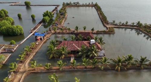 Munroe Island House | Kandal Theeram Farms