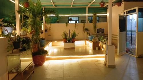 Hyderabad Apartment | Kasotiya Mansion Homestay