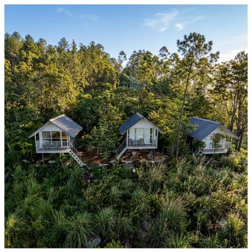 Suryanelli House | Kolukkumalai Wild Cabins