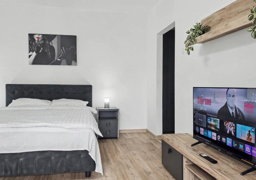 Iasi Apartment | Konstanzer12 - Free Parking Apt - AC