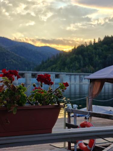 Bicaz House | La Coca Lake House