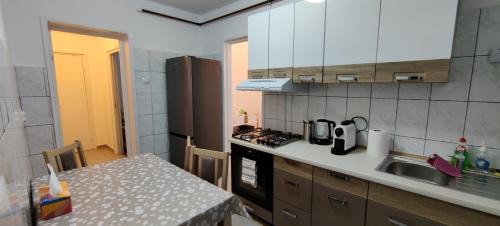 Tirnaveni Apartment | La Muzeu