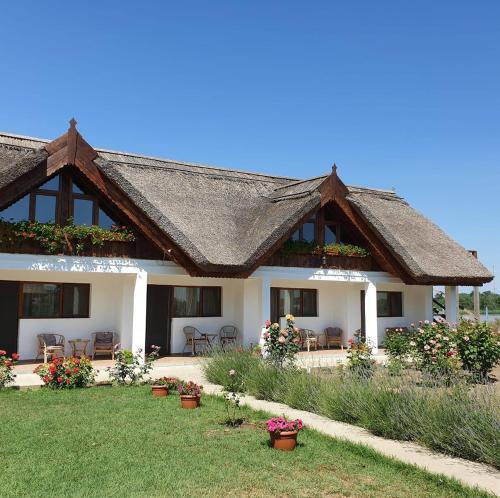 Chilia Veche House | La Raducu