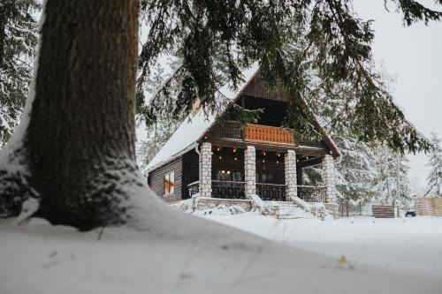 Izvoru Muresului Apartment | Lake House