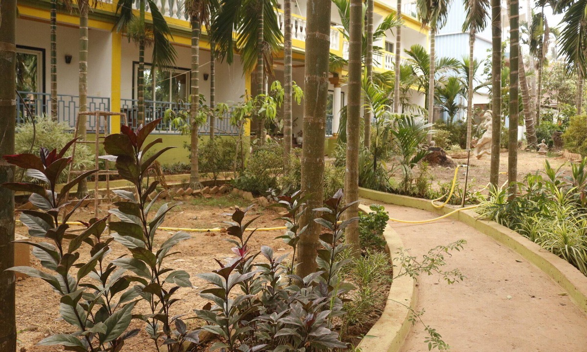Arambol Hotel | Lavish Exotic Hotel & Apartment