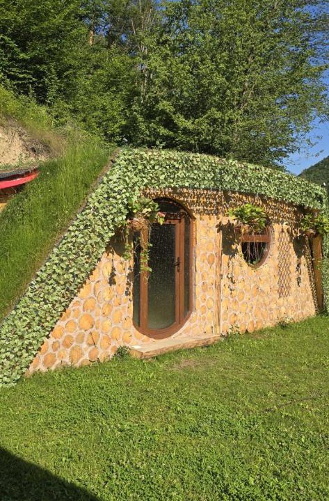 Densus Ski Chalet | lazy trout house
