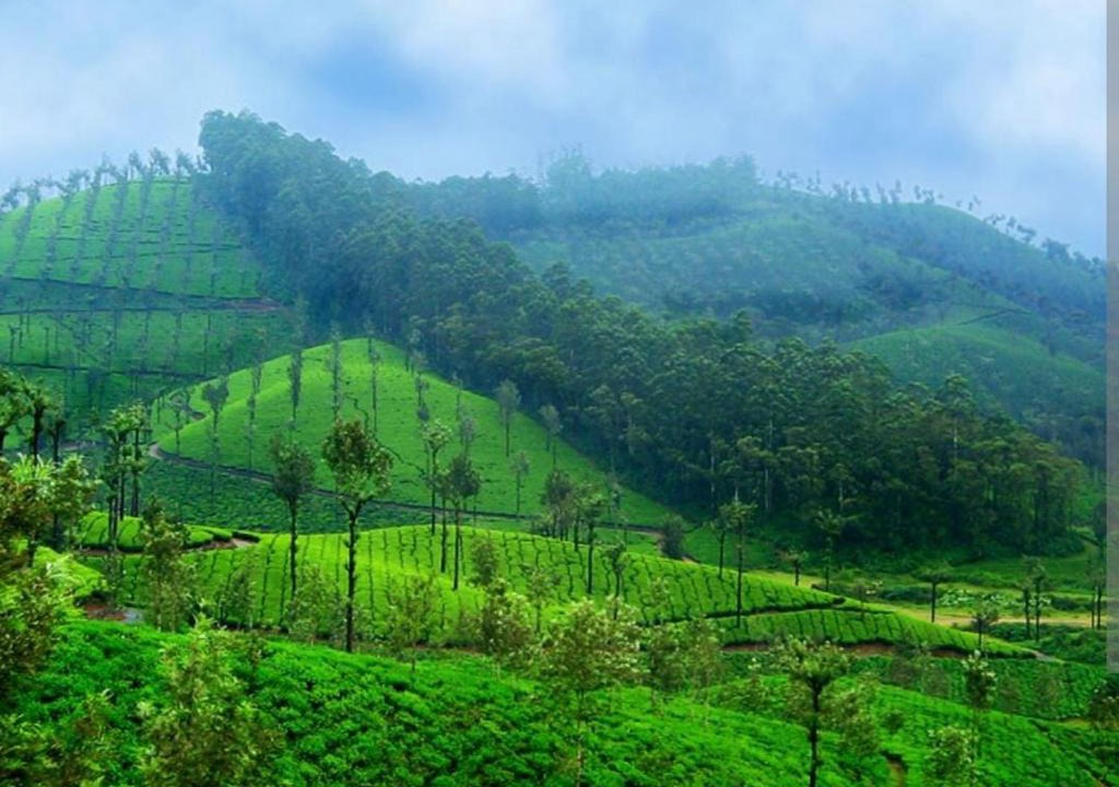 Valparai House | Leo Homestay