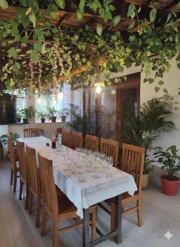 Tonse West Villa | Lewis Homestay