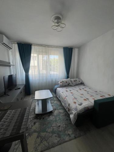 Arad Apartment | Lia Apartament
