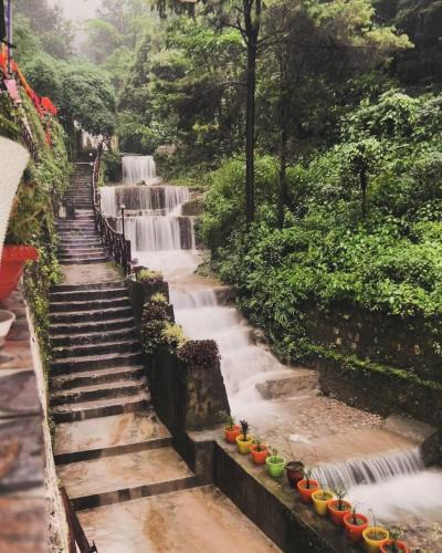 Mussoorie Cabin | Little Heaven - Cabin 2
