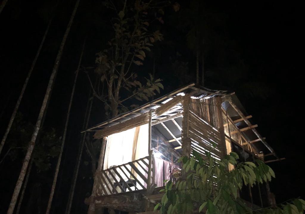 Sulthan Bathery Other | Lotus Jewel Forest Camping