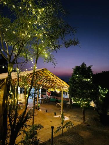Mandrem Hotel | Mango hill resort