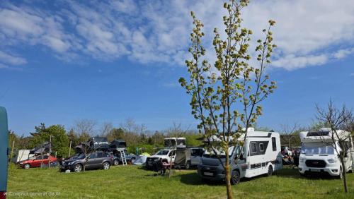 Vama Veche Other | Marina Park Camping