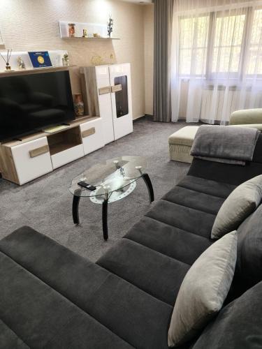 Bacau Apartment | MAXX Lake Apart