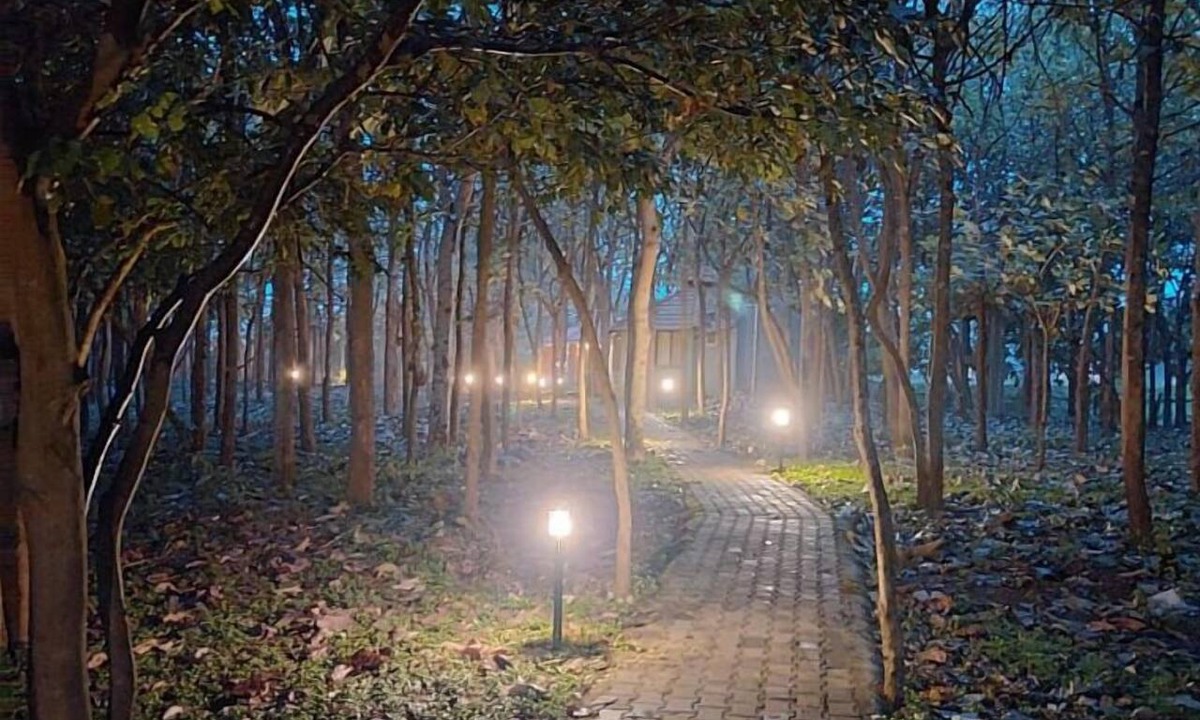 Bandipur Resort | MC RESORT BANDIPUR