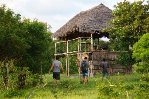 Gede Other | Mida Creek Nature Camp