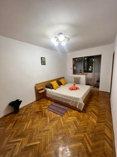 Arad Apartment | Miha modern and central apartament Malul Mureșului
