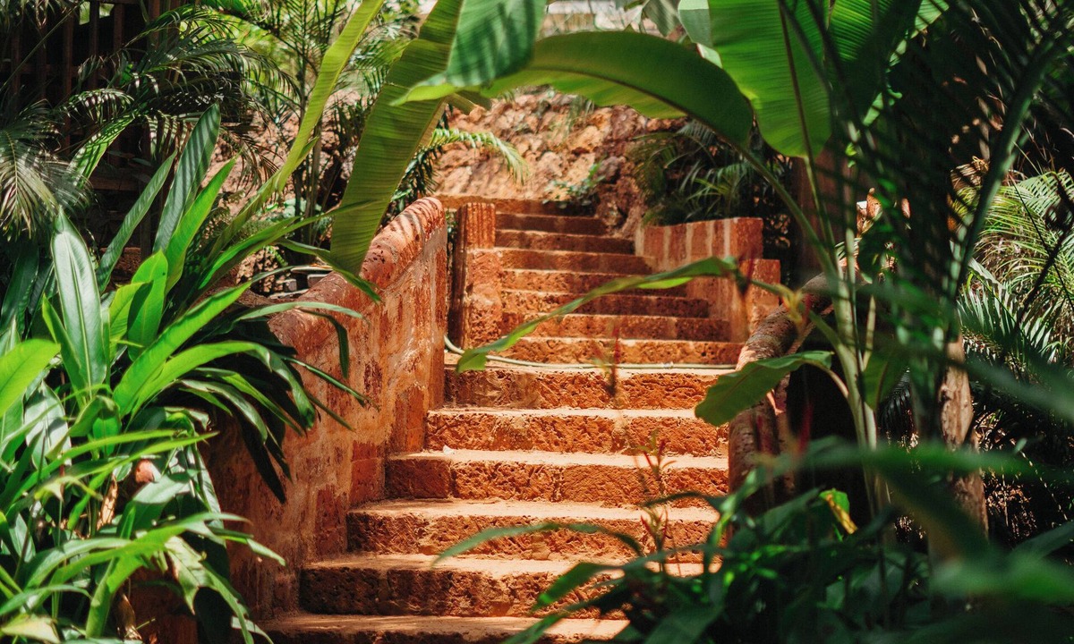 Assagao Hotel | Mojigao Eco Resort