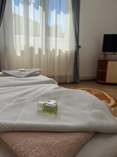 Brezoi Hotel | Motel Vatra Bunătăților