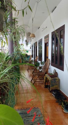 Kumily House | Mountain View Homestay