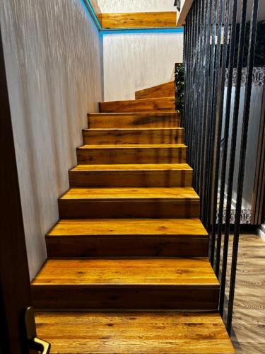Filiasi House | Muz