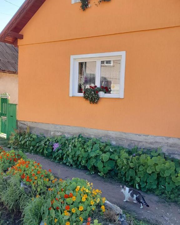 Lazarea House | Nagy Ildikó Vendégház