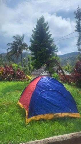 Chikkamagaluru House | Nature kings Timber leaf Homestay
