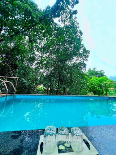 St.Stanislaus Villa Villa | Nature View Friends Villa - The Dream Stays ll 3 bhk ll Big infinity pool