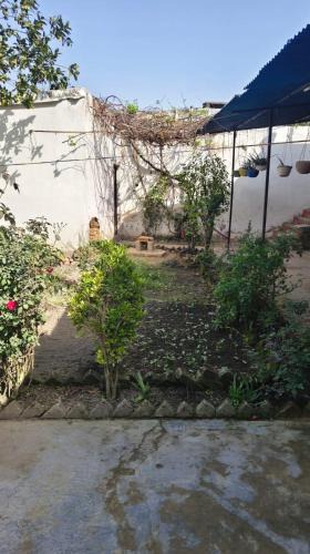 Bilaspur House | Naveen Homestay