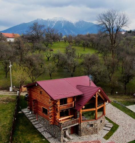 Bran Ski Chalet | Nomad Escape Bran
