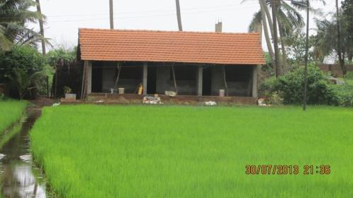 Gokarna House | Ocean Sparrow Home Stay
