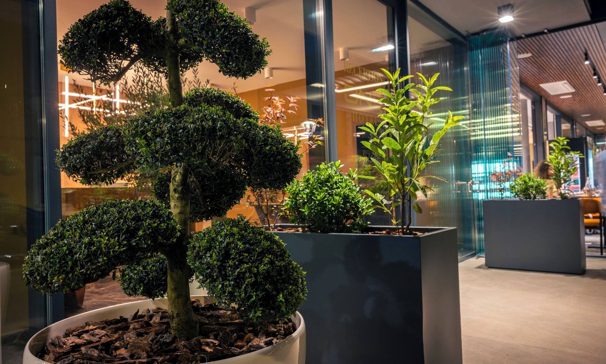 Alba Iulia Hotel | ONE Hotel