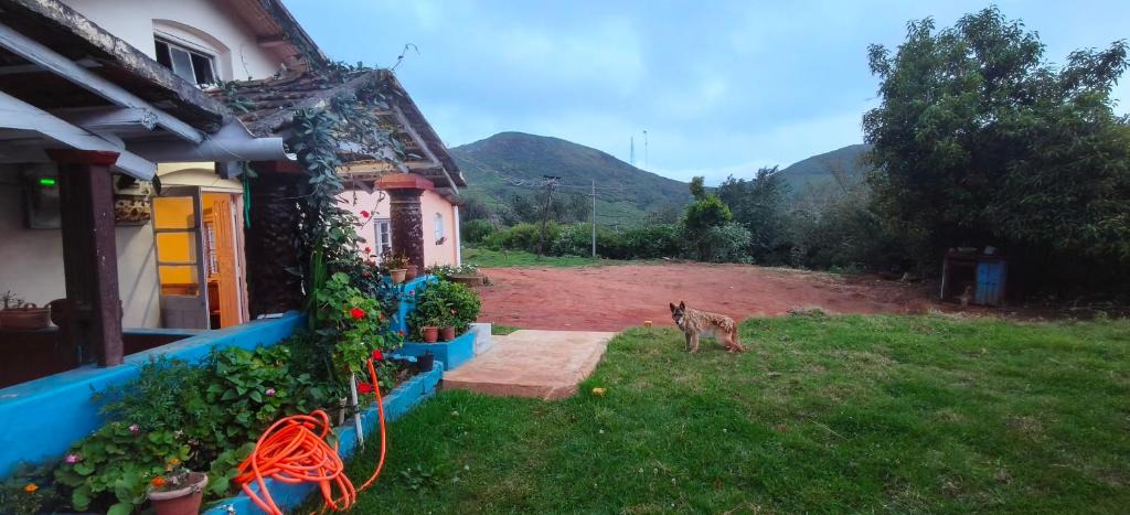 Ooty Villa | Ooty Heritage Villa 2BHK