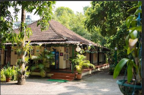 Edapalli Bed & Breakfast | Palm Grove Service Villa