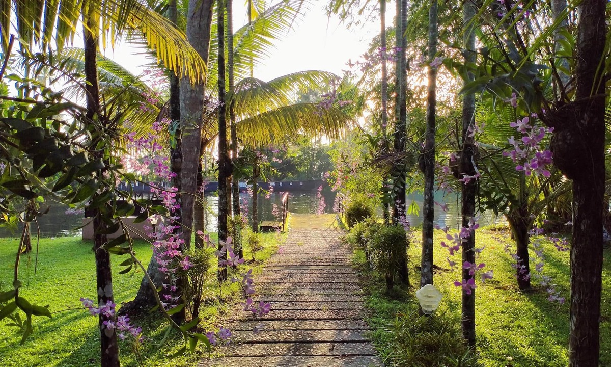 Alappuzha Hotel | Palmgrove Lake Resort