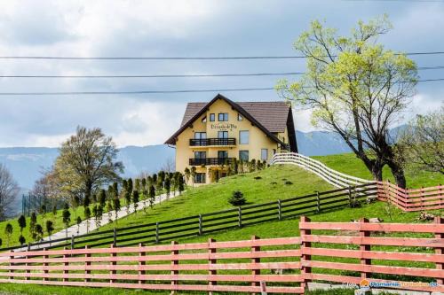Fundata House | Pension Creasta de Vis