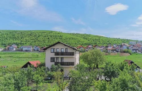 Sinnicoara House | Pensiunea Albina