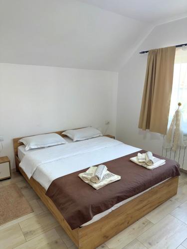 Viseu de Sus Bed & Breakfast | Pensiunea Axenia Ale