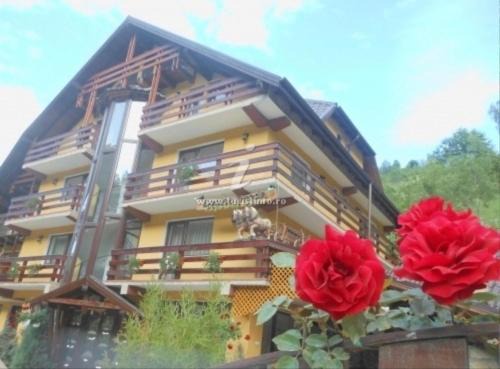 Moieciu de Jos House | Pensiunea Denisa Preda