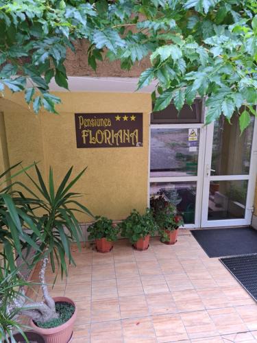Baile Herculane Hotel | Pensiunea Floriana