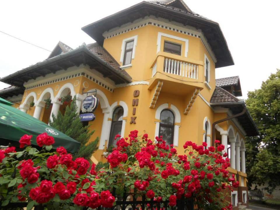 Fagaras House | Pensiunea Onix