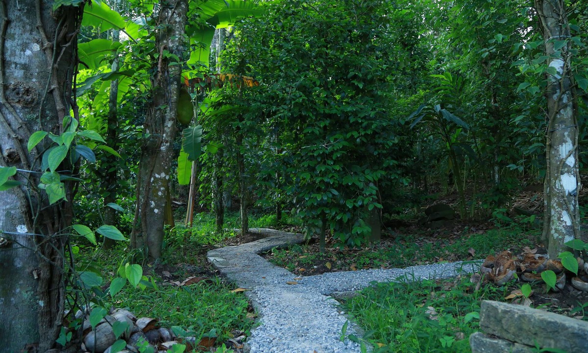 Pirmed Bed & Breakfast | Philip Mary Farm Stay, Thekkady