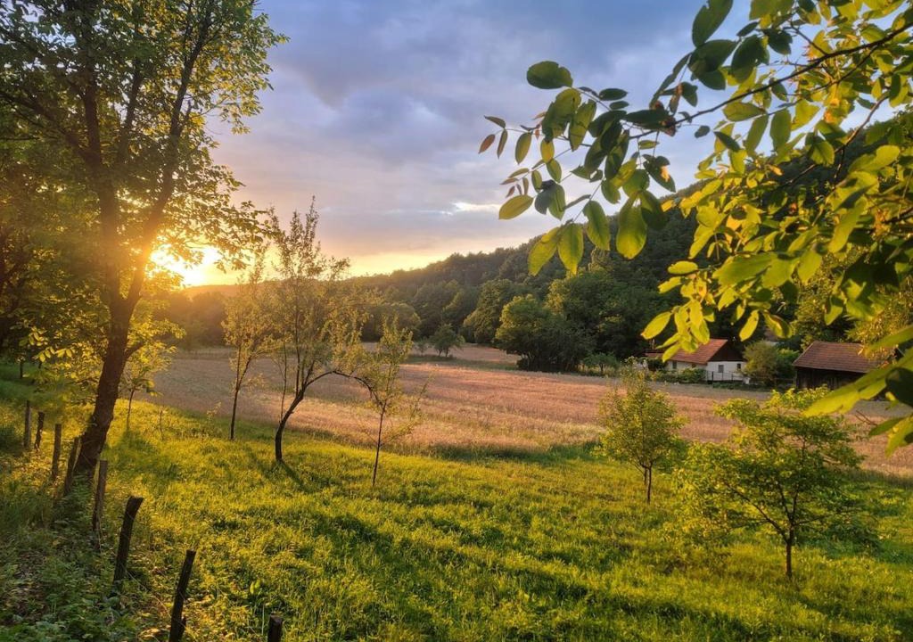 Burjuc Villa | Poiana dintre Lumi