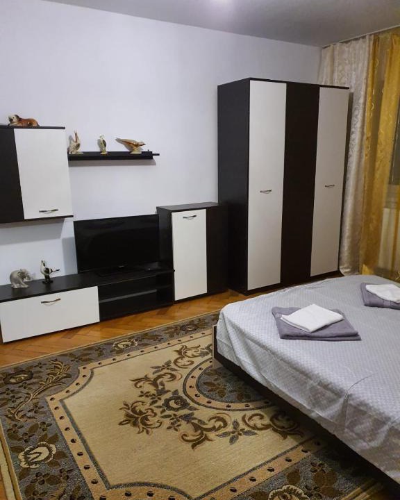 Lupeni Apartment | RazDav Straja Central