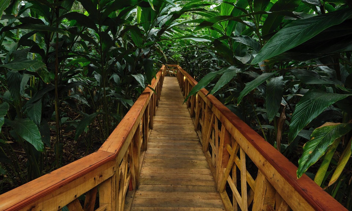 Elappara Hotel | Reen Resorts Aanavilasam Thekkady
